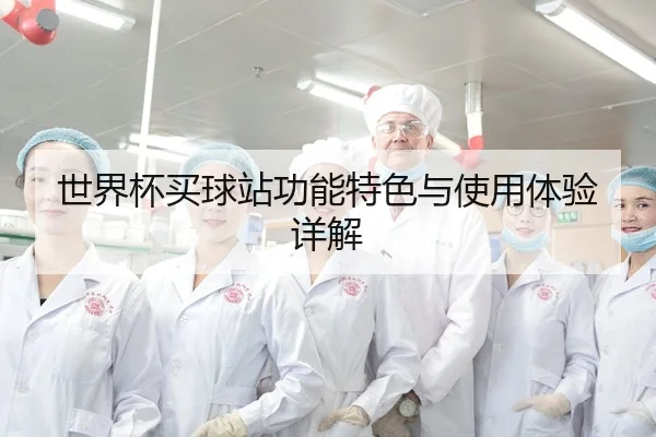 世界杯买球站功能特色与使用体验详解