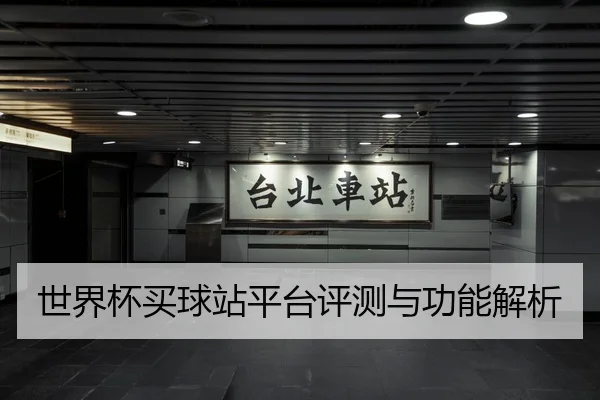 世界杯买球站平台评测与功能解析